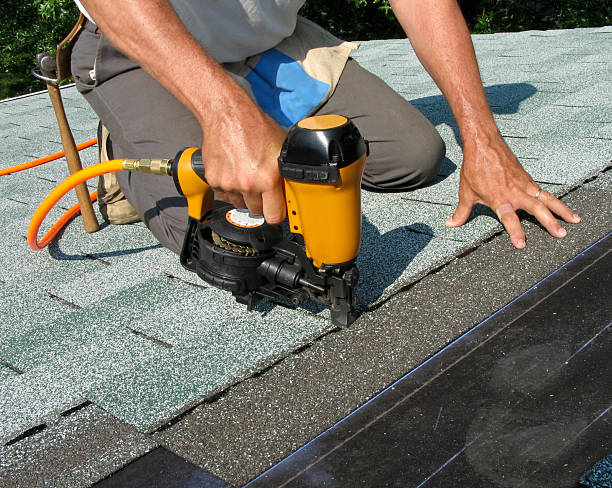 Best Roof Gutter Cleaning  in Chalmette, LA
